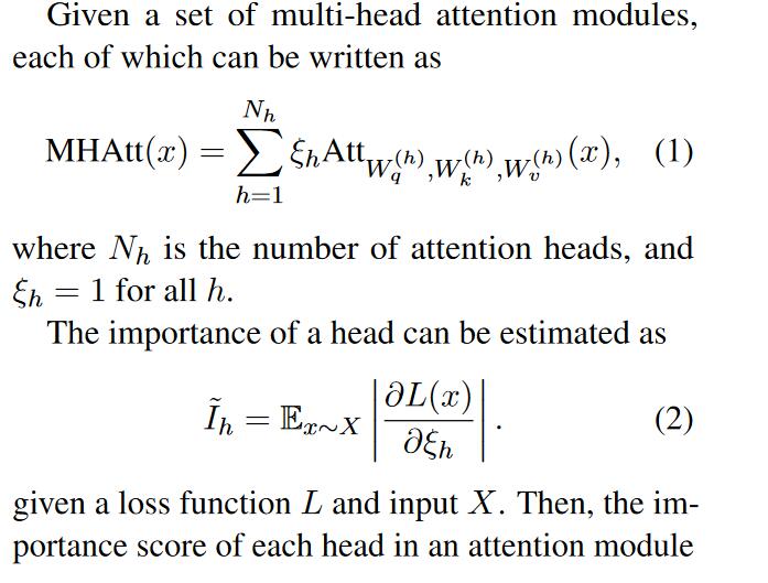 Head importance estimation定义